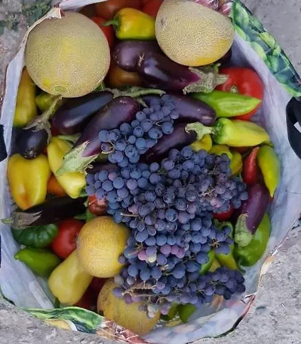 Themistokli بيت ضيافة كورتشي
