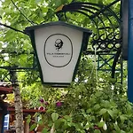Themistokli كورتشي