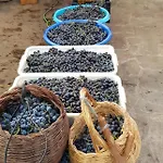 بيت ضيافة Themistokli