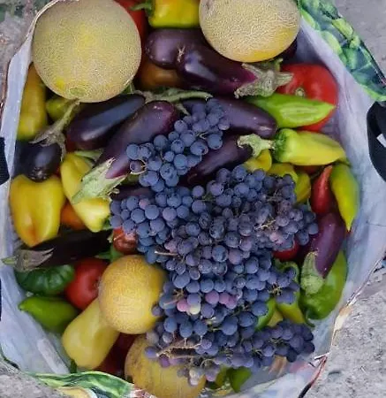Themistokli Pensión Korce