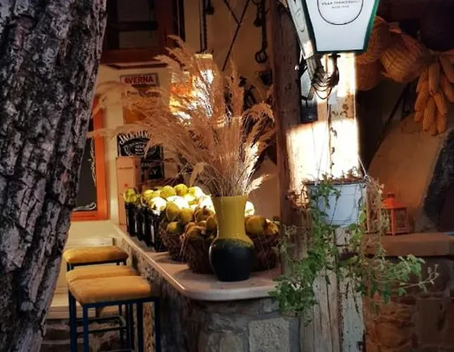 招待所 特米斯托克里别墅 科尔察